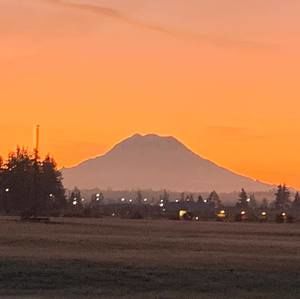 Meet your Posher, Pedro